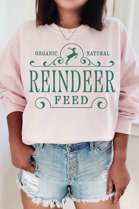 Reindeer Christmas Graphic Sweatshirt