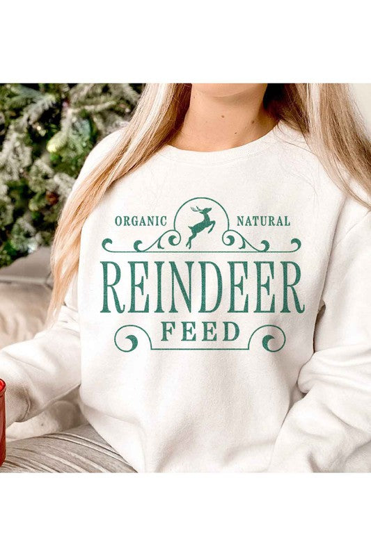 Reindeer Christmas Graphic Sweatshirt