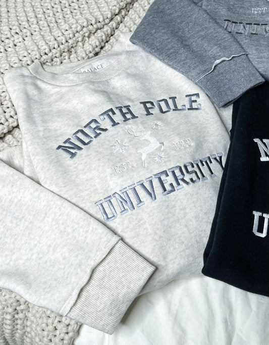 North Pole University