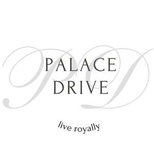 PalaceDrive logo